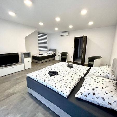 Apartmany Premium Se Soukromym Parkovanim Česká Lípa エクステリア 写真
