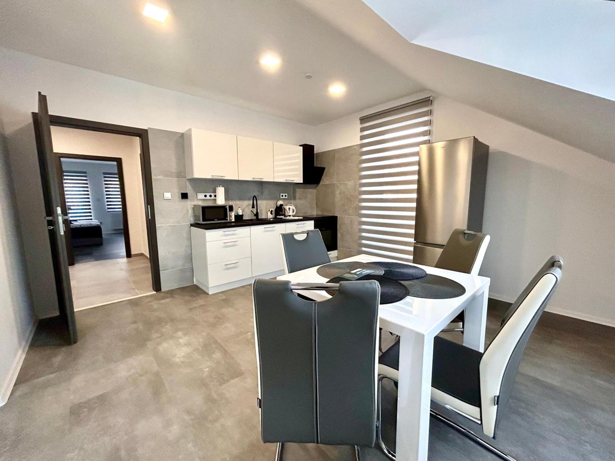 Apartmany Premium Se Soukromym Parkovanim Česká Lípa エクステリア 写真