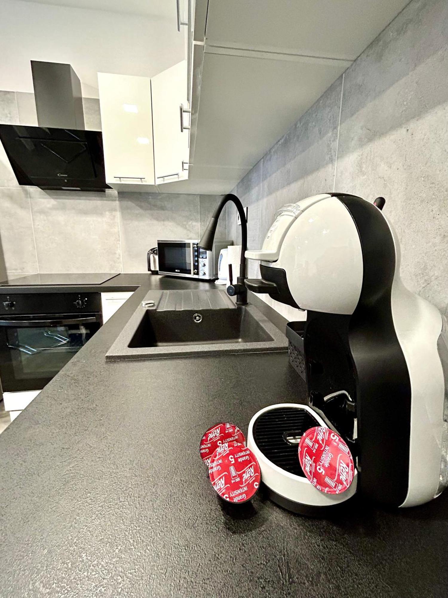 Apartmany Premium Se Soukromym Parkovanim Česká Lípa エクステリア 写真